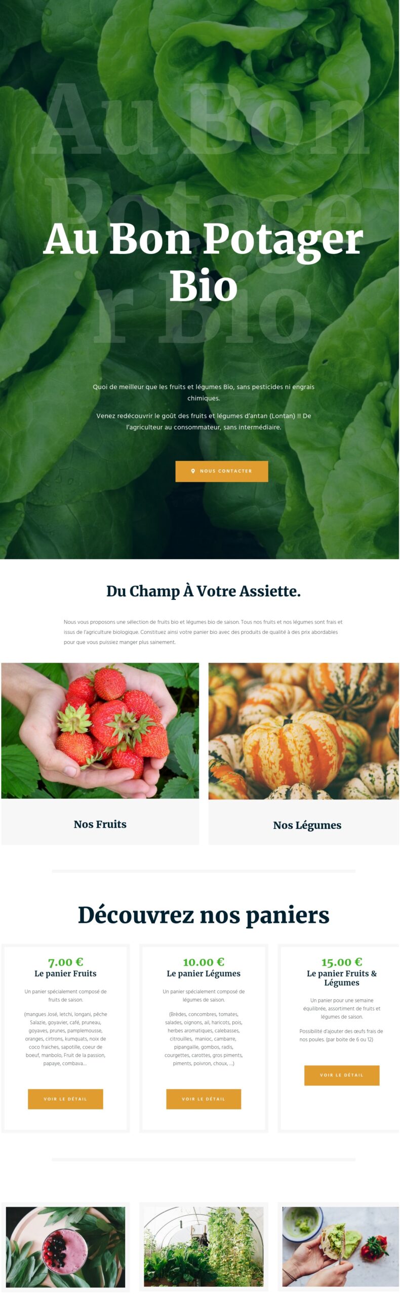 Site internet pour Maraicher(re) Vente de fruits et legumes BIO (biologique)'Portfolio creation site web', JMTS NUMERIQUE_Conception_Webdesign 27940 Eure